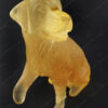 chien pate de verre