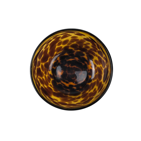 saladier-ecaille-tortue