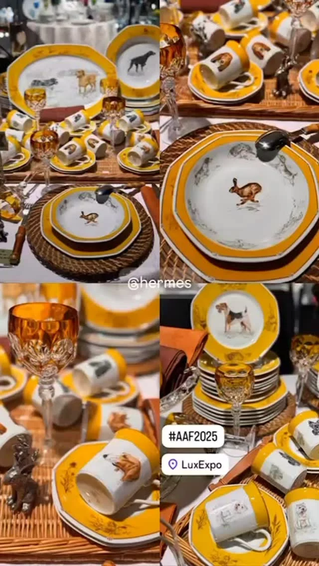 Publication 17952776573781688 Instagram